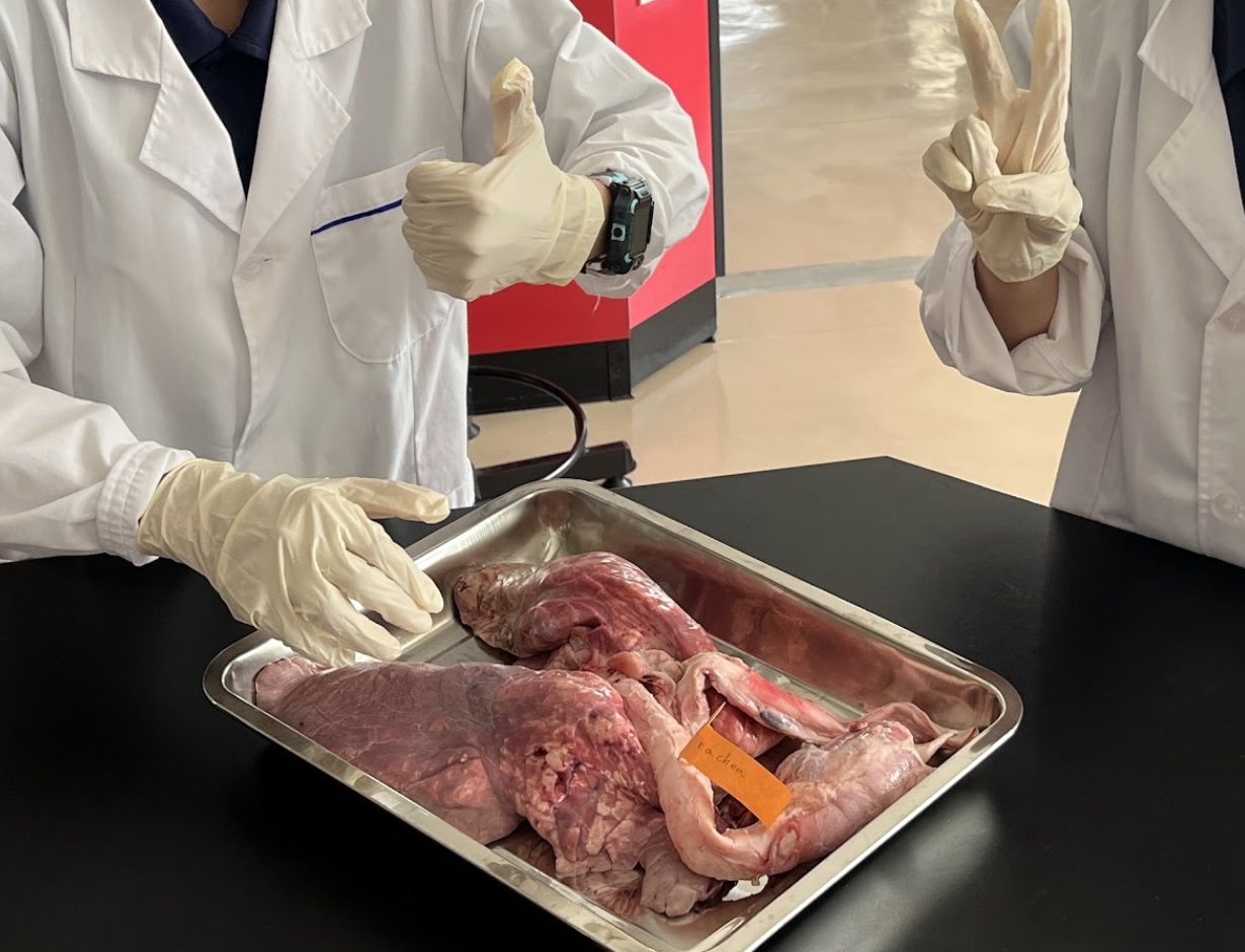 Students giving a thumbs up after a dissection practical
